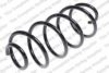 ROC CS7810 Coil Spring